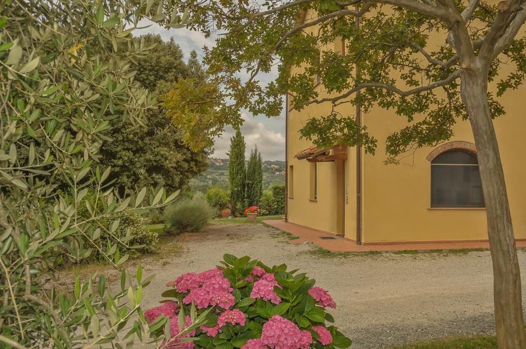 Renai E Monte Ii *